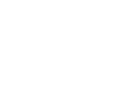 Custom Centric Logo
